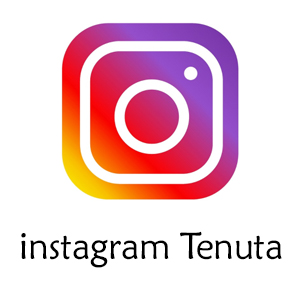 Contatto instagram Tenuta Sant'Anna Piemonte